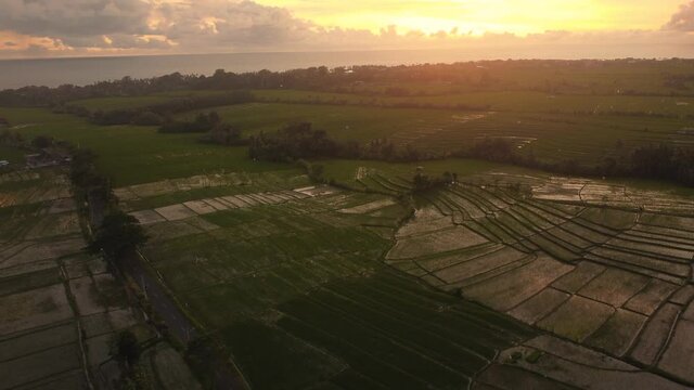 aerial sunset view of rice field with ocean seascape island of gods bali canggu area