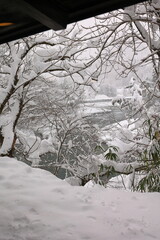 白川郷　岐阜　日本