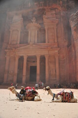 camels in historic city