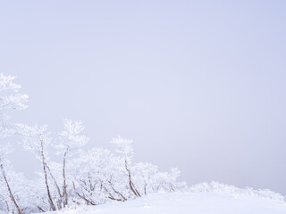 綿向山山頂の景色
