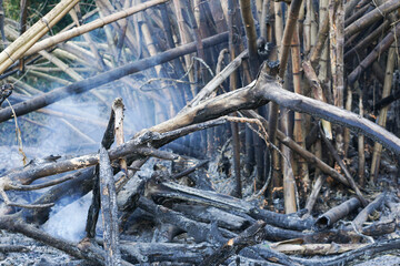 Rainforest burning under smoke in sunny day in Malaysia. Concept of deforestation, fire, environmental damage and crime in the largest rainforest on the planet.