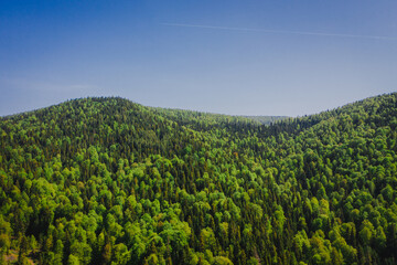 Naklejka premium Beautiful panoramic photo over the tops of forest. Aerial view. From above. Picture taken using the copter. Sakarya, Turkey forest