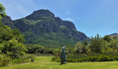 A picturesque mountain rises against the backdrop of a blue sky. At its base is a lawn with green grass and lush tropical vegetation. Botanical Garden in Cape Town. South Africa