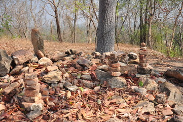 fallen autumn leaves