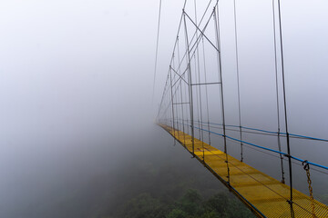 Beautiful view of a canopy bridge in the tropical rain forest in Costa Rica