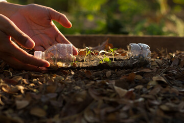 Obraz premium Hand of a gardener planting vegetable in plastic bottle. sustainable lifestyle, zero waste concept.