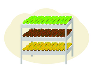 Greenhouse plants. Growing seedlings of vegetables and flowers.