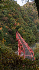 bridge in autumn