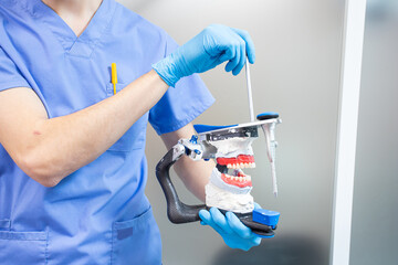 The dentist holds a dental articulator in his hands for the correct bite.