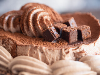 カカオパウダーとホイップクリーム、生チョコレートをトッピングしたチョコレートケーキのクローズアップ。