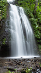 Obraz premium waterfall in the forest
