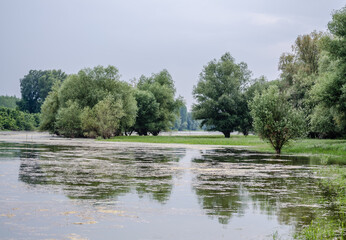 Panorama sleeve of the Danube River near Novi Sad 