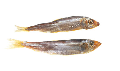 Smoked sprat isolated on white