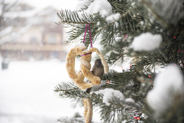 christmas tree in the snow