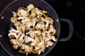 preparation of mixed mushrooms, such as common mushrooms, oyster mushrooms or shiitake