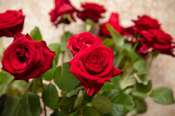 Red roses in a vase.