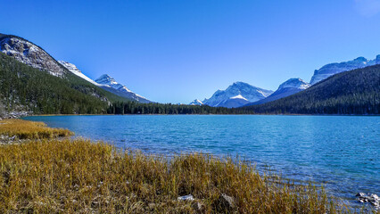 Fototapeta na wymiar Lake and Mountains, Waterfowl Lakes, Icefields Parkway, Alberta, Canada