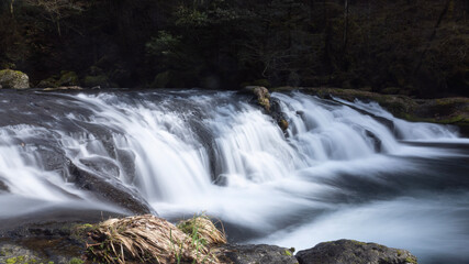 waterfall in the forest