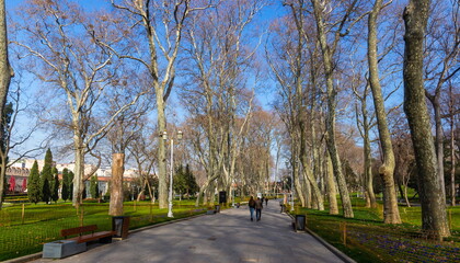 Gulhane Park, located near Topkapi Palace. Istanbul, Turkey.
