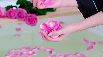 female hands pour rose petals into the bath. Luxury White Marble Bathroom Flowing Water to the Bath with pink Rose. Romantic weekend in a hotel.