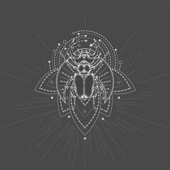 Vector illustration with hand drawn Stag Beetle and Vector illustration with hand drawn Stag Beetle and Sacred symbol on black background. Abstract mystic sign. White linear shape. 
