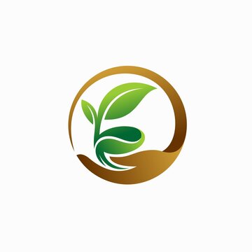 planting plant seeds vector, seed care logo