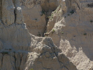 Badlands National Park 