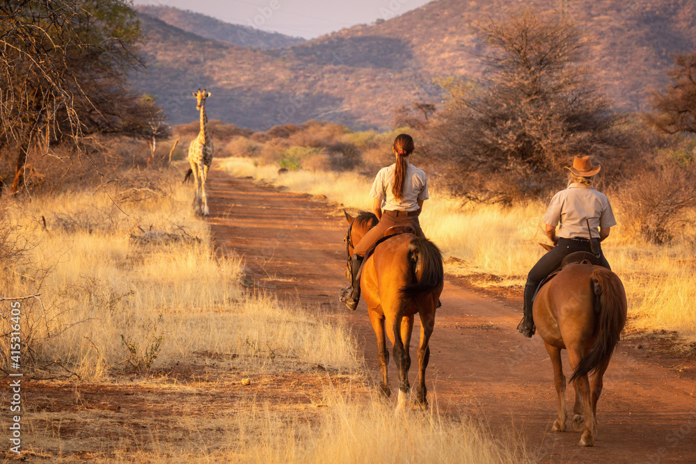 Sticker Two horsewomen watch southern giraffe on track