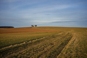 Römerstraße Reitzenhain / Niederwallmenach