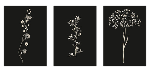 A set of three minimalist pastel posters. Backgrounds for social networks, web design, interiors. Vintage cute illustrations with flowers, plants, leaves from thin white lines on a black background.