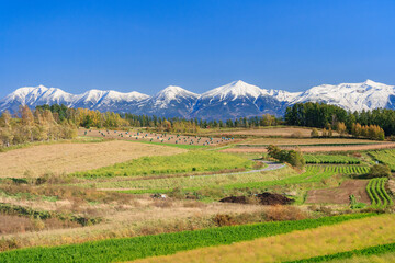 美瑛　冠雪の十勝岳連峰