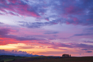 Fototapeta premium 美瑛 新栄の丘 夕暮れ