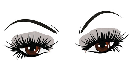 Eyes of a beautiful woman. Vector illustration.