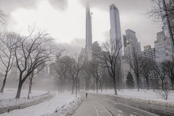 Winter in Central Park Manhattan New York stillness landscape