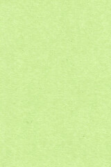 Obraz premium green paper texture
