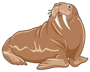 Walrus cartoon illustration with brown fat body