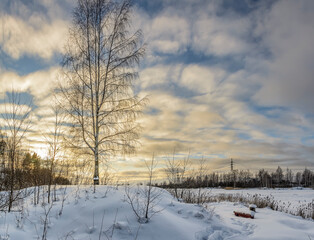 Winter evening on the banks of an old quarry.