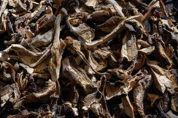 Dried forest mushrooms.