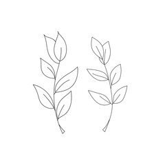 Fototapeta premium Vector doodle branch. Silhouette of plant.
