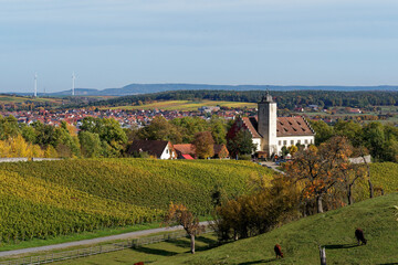 Fototapeta premium Schloss Hallburg in den Weinbergen der Vokacher Mainschleife, Landkreis Kitzingen, Unterfranken, Franken, Bayern, Deutschland