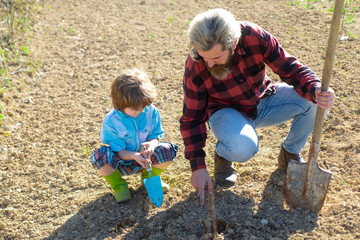 Father planting a tree with son helping him. Dad and kid gardening in garden ground. Growing plant.