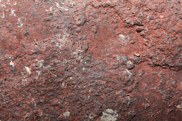 A close up view of a brick with pieces of shells imbedded in it.