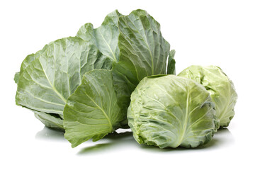 Obraz premium cabbage on white background