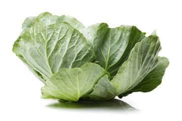 Obraz premium cabbage on white background