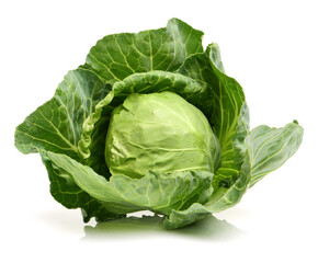 cabbage on white background