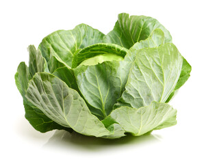 Obraz premium cabbage on white background