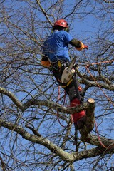 arboriste-13