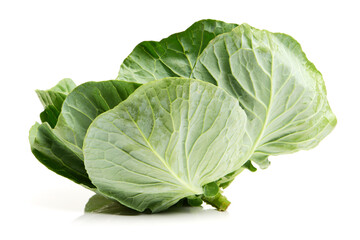 Obraz premium cabbage on white background