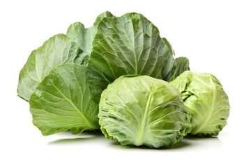 Fototapeta premium cabbage on white background