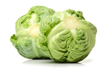 Fototapeta premium cabbage on white background